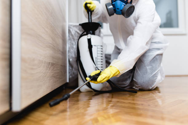 Best Wildlife Control Services  in Bellevue, MI