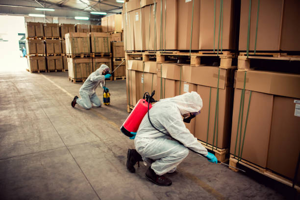 Best Pest Control Near Me in Bellevue, MI
