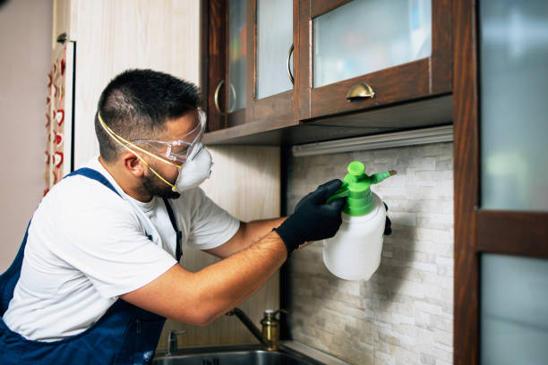 Best Pest Control Near Me  in Bellevue, MI