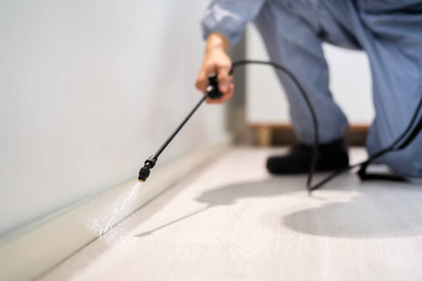 Best Affordable Pest Control Services  in Bellevue, MI