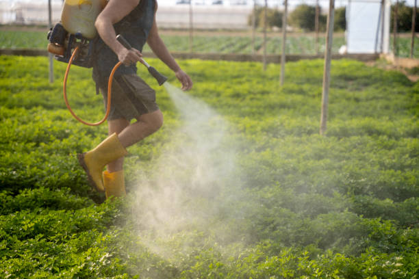 Reliable Bellevue, MI Pest Control Solutions