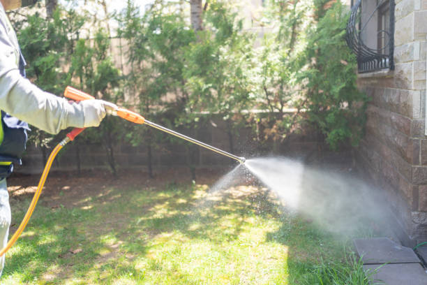 Best Rodent Control Near Me  in Bellevue, MI