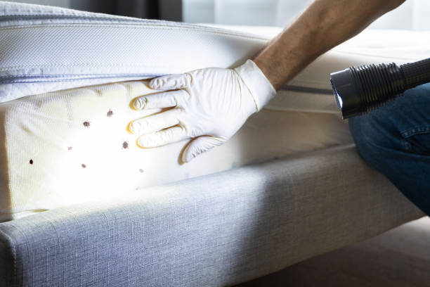 Best Pest Prevention Services  in Bellevue, MI