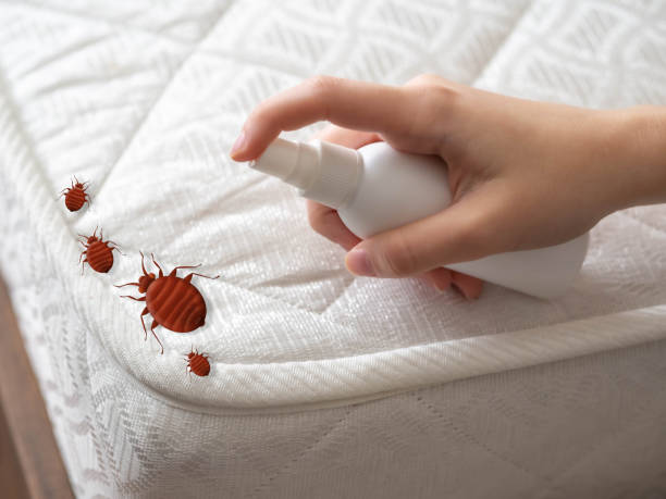 Best Pest Control for Homes  in Bellevue, MI