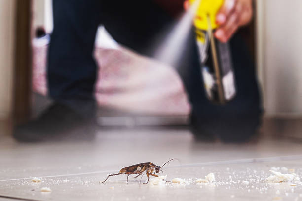 Best Affordable Exterminators  in Bellevue, MI