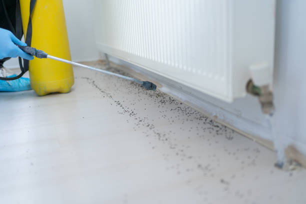 Best Best Pest Control Companies  in Bellevue, MI
