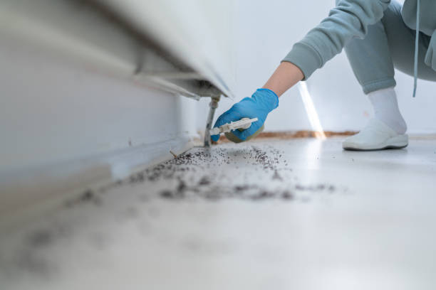 Best Pest Removal Services  in Bellevue, MI